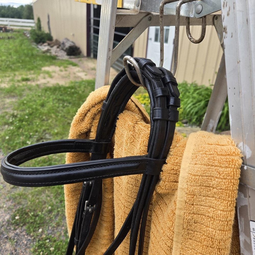 Schumacher Double Bridle, Dressage Bridle